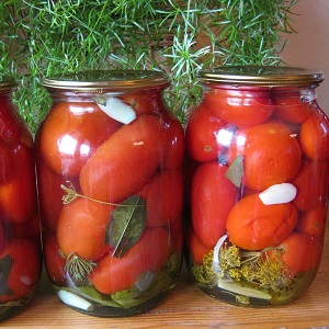 Comment faire cuire des tomates marinées dans des bocaux Comment utiliser des barils froids: recettes et astuces