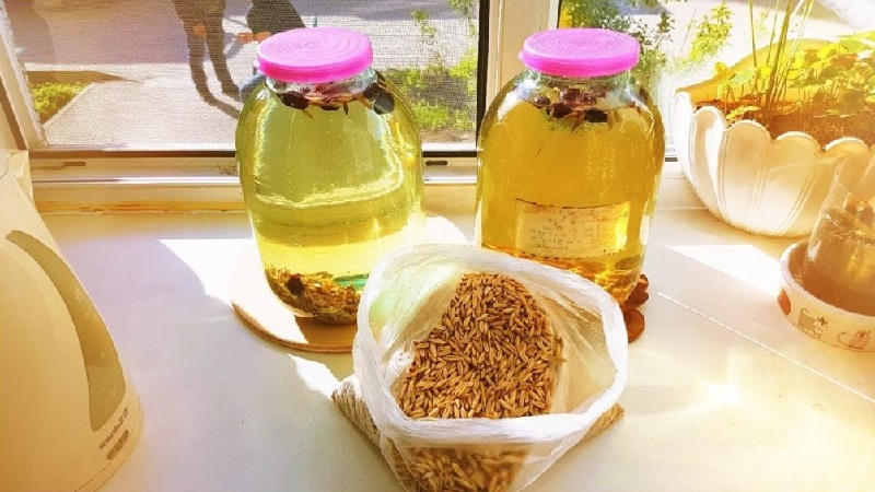 Comment utiliser l'avoine pour la toux: les meilleures recettes et l'efficacité