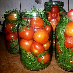 Comment cuisiner de délicieuses tomates en conserve pour l'hiver dans des pots d'un litre: une sélection des meilleures recettes