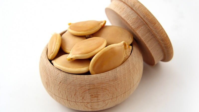 Comment calculer le moment où planter une citrouille pour les semis?