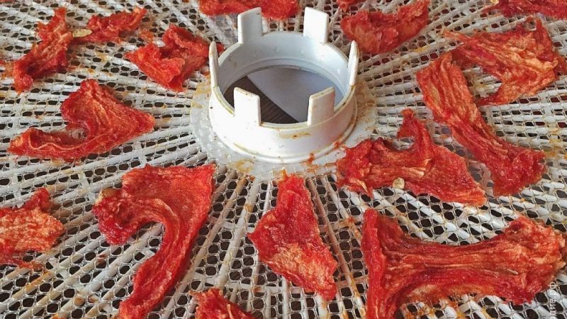 Instructions étape par étape: comment sécher une pastèque dans un séchoir électrique et stocker le produit fini