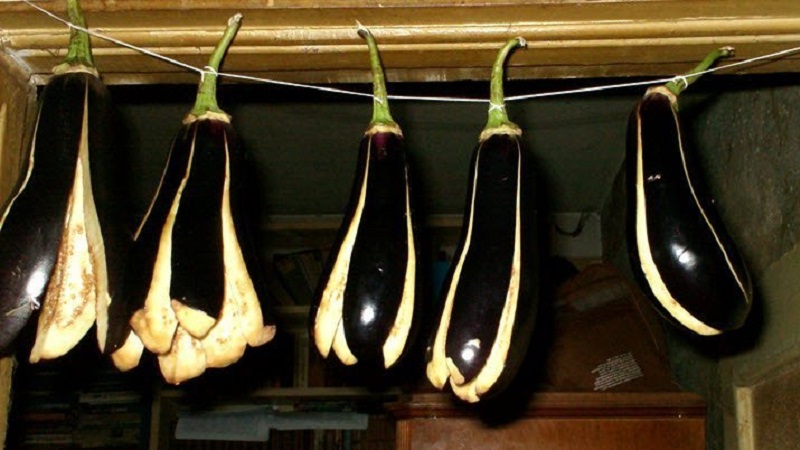 Comment sécher correctement les aubergines pour l'hiver à la maison: 3 meilleures façons