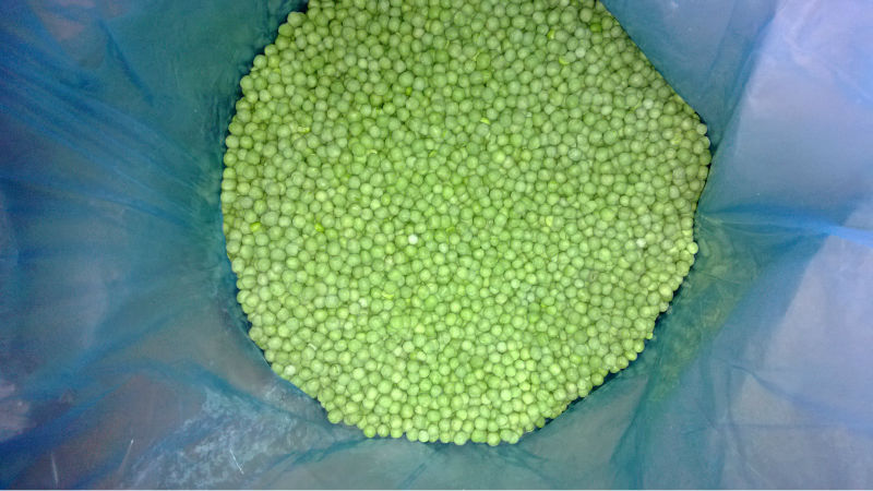 Les blancs les plus simples: comment congeler des pois verts à la maison pour l'hiver et quoi en faire cuire plus tard