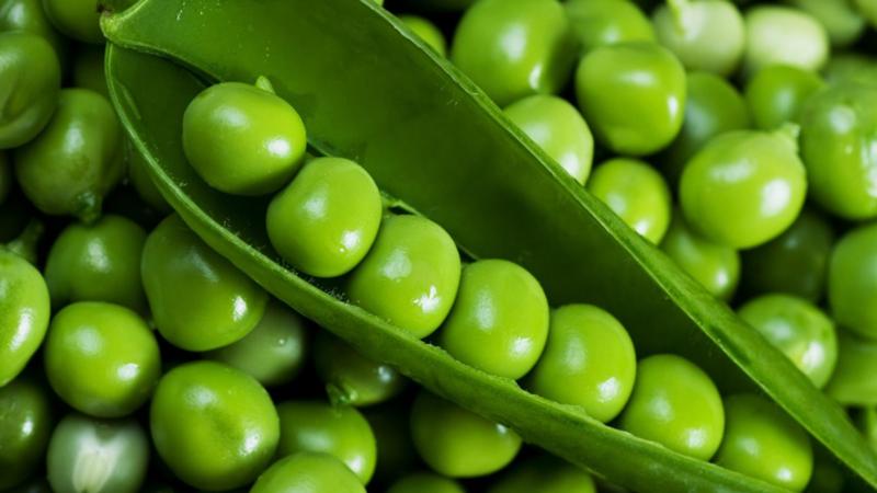 Les blancs les plus simples: comment congeler des pois verts à la maison pour l'hiver et quoi en faire cuire plus tard