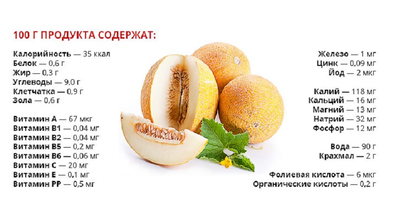 Quelles vitamines contiennent le melon et comment est-il utile pour le corps