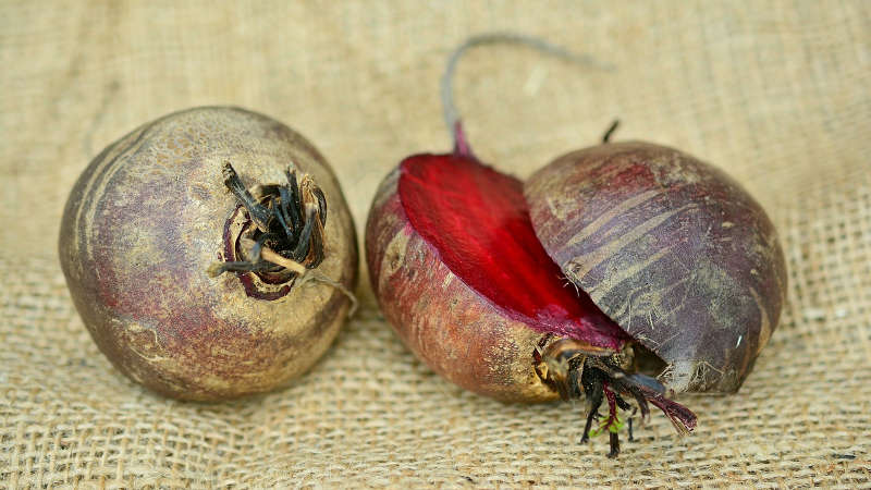 Quand retirer les betteraves du jardin pour le stockage: récolter à temps