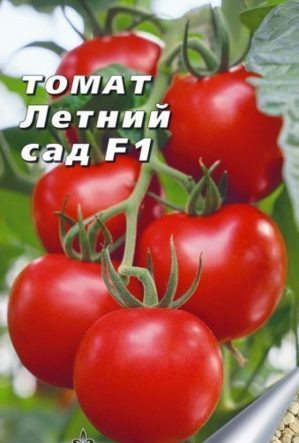 Examen d'un jardin d'été de tomates hybrides précoce F1: critiques des résidents d'été et instructions pour la culture d'un hybride