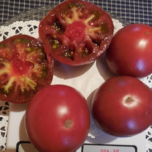 Tomato Mikado aimé des résidents d'été avec une riche palette de sous-espèces et une forte immunité - nous la cultivons nous-mêmes sans tracas