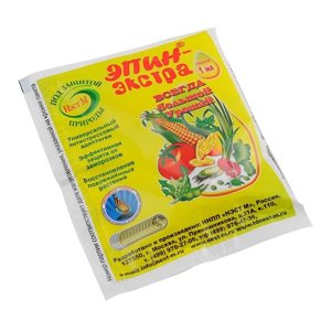 L'une des variétés les plus délicieuses pour la consommation fraîche est la tomate jaune géante