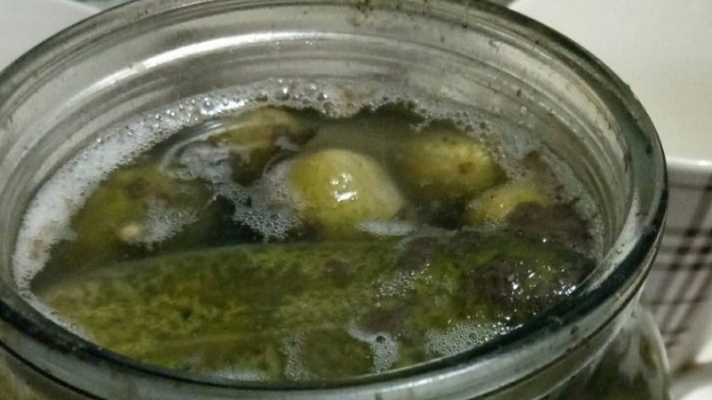 Pourquoi les pots de concombre explosent et que faire pour l'éviter