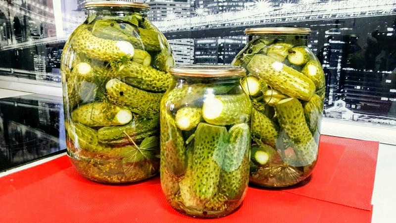 Pourquoi les pots de concombre explosent et que faire pour l'éviter