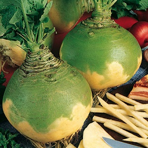 Propriétés utiles et contre-indications des rutabagas: comment utiliser les racines en cuisine, en cosmétologie et en médecine populaire