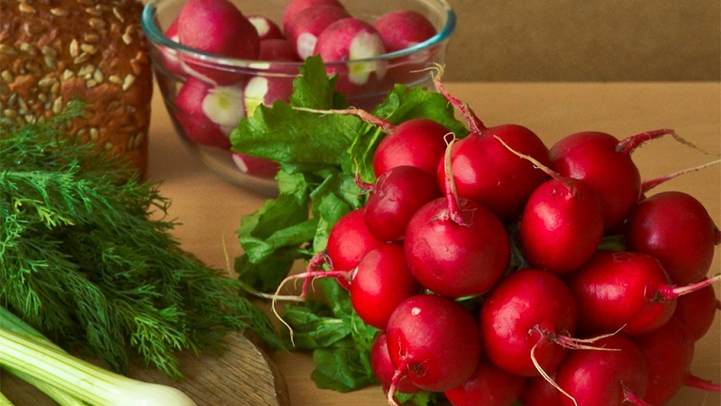 Les avantages et les inconvénients des radis pour le corps humain