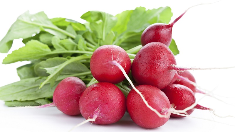 Les avantages et les inconvénients des radis pour le corps humain