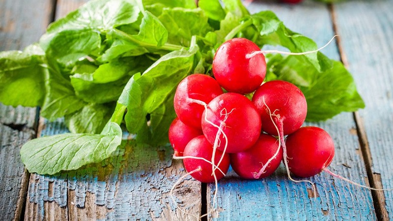 Les avantages et les inconvénients des radis pour le corps humain