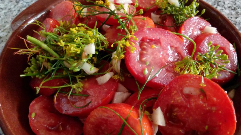 Recettes de tomates instantanées légèrement salées: top des façons les plus délicieuses, trucs et astuces