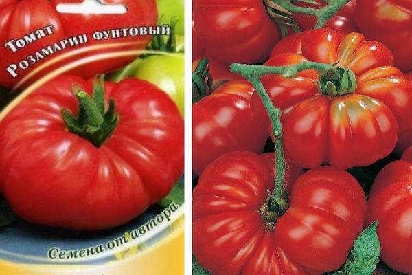 Comment faire pousser et où utiliser la livre de tomate Rosamarin