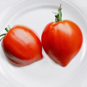 Variété de tomate Fraise - Résistance aux maladies sibériennes et rendement élevé