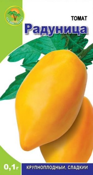 Un représentant brillant des variétés fructueuses de mi-saison - la tomate Radunitsa et des conseils pour sa bonne culture