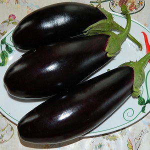 Subtilités d'entretien de la variété d'aubergine Opale noire et ses bienfaits