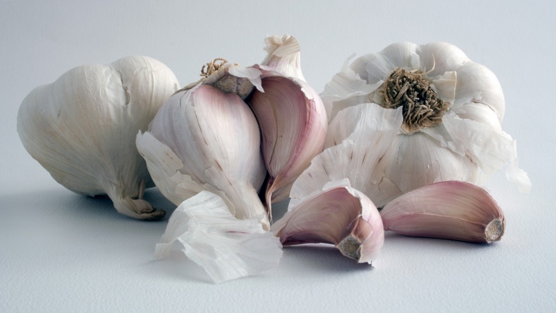 Remède universel gratuit - peau d'ail: propriétés utiles et modes d'utilisation dans différents domaines