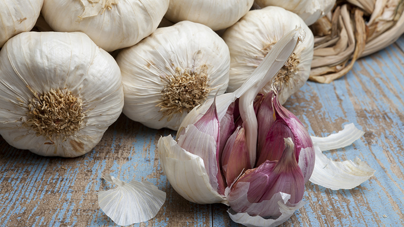 Remède universel gratuit - peau d'ail: propriétés utiles et modes d'utilisation dans différents domaines