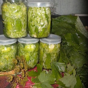 Nous fermons les concombres dans notre propre jus rapidement et savoureux