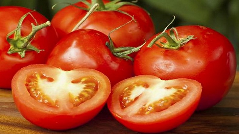 Une récolte précoce et riche pour le plus grand plaisir de chaque résident d'été - Tomato Polbig