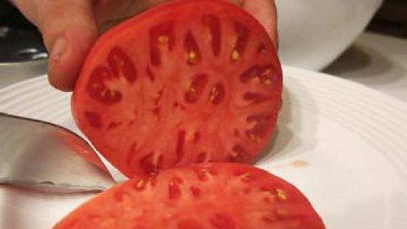 Tomates préférées des jardiniers Pain salé: nous produirons une récolte riche, malgré les conditions météorologiques