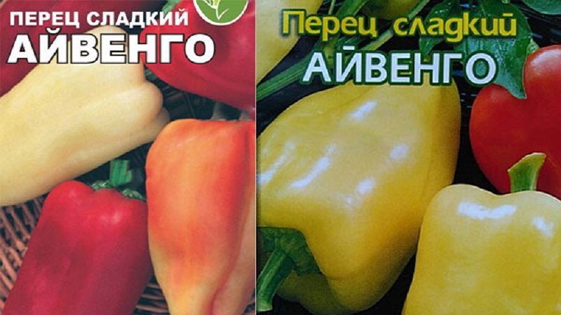 Une variété unique avec une récolte riche et un goût excellent - poivre Ivanhoe: description et conseils pour la culture