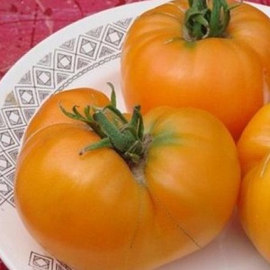 Pourquoi les agriculteurs aiment les tomates éléphant orange