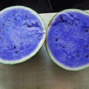 Les pastèques bleues existent-elles ou est-ce un mythe sur Internet