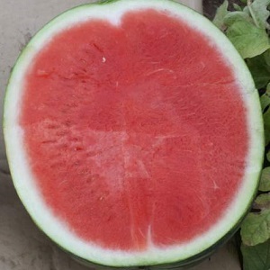 Les pastèques bleues existent-elles ou est-ce un mythe sur Internet