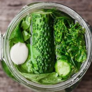 Comment cuisiner facilement et délicieusement des concombres légèrement salés: une sélection des meilleures recettes