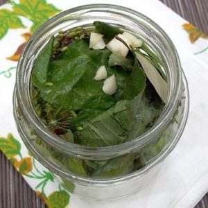 Comment cuisiner facilement et délicieusement des concombres légèrement salés: une sélection des meilleures recettes