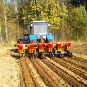 Qu'est-ce qu'un planteur d'ail: un examen des meilleurs modèles et des instructions pour fabriquer un planteur de vos propres mains