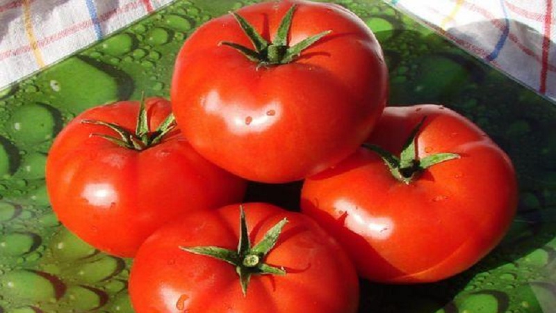 Une variété à gros fruits au goût agréable - la tomate Akulina et un guide étape par étape pour la cultiver