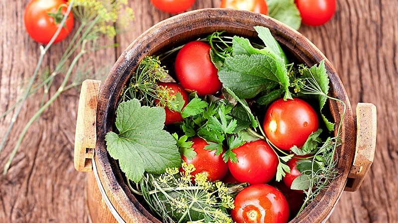 Top 10 des meilleures recettes sur la façon de mariner des tomates dans un tonneau, caractéristiques de la préparation des contenants et du stockage des cornichons prêts à l'emploi