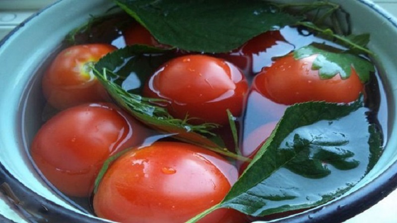 Top 10 des meilleures recettes sur la façon de mariner des tomates dans un tonneau, caractéristiques de la préparation des contenants et du stockage des cornichons prêts à l'emploi