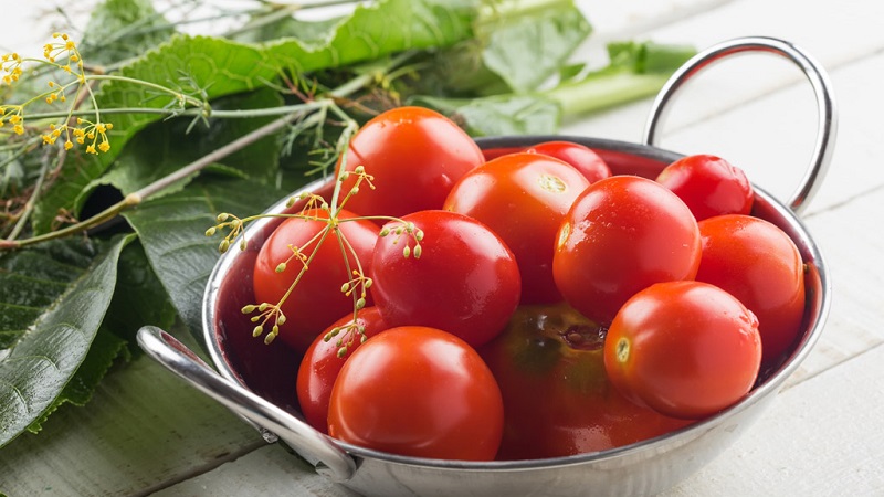 Top 10 des meilleures recettes sur la façon de mariner des tomates dans un tonneau, caractéristiques de la préparation des contenants et du stockage des cornichons prêts à l'emploi