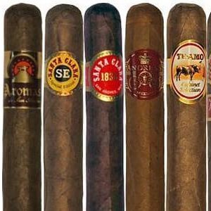 Qu'est-ce que le tabac, son origine, sa culture et son utilisation