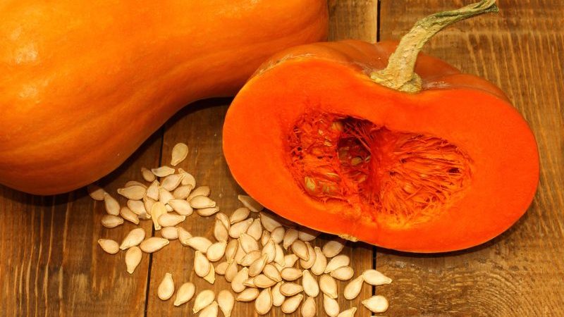 Comment conserver la citrouille à la maison dans un appartement: nous créons des conditions optimales et gardons le légume frais pour l'hiver