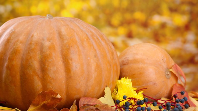 Comment conserver la citrouille à la maison dans un appartement: nous créons des conditions optimales et gardons le légume frais pour l'hiver