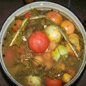 Nous fabriquons de délicieux flans de nos propres mains - tomates brunes salées: les meilleures recettes et conseils pour cuisiner