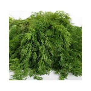 Étapes importantes pour une bonne récolte d'aneth alligator: de la préparation des graines à la prévention des maladies