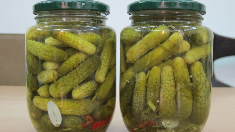 7 recettes les plus délicieuses pour les cornichons en conserve