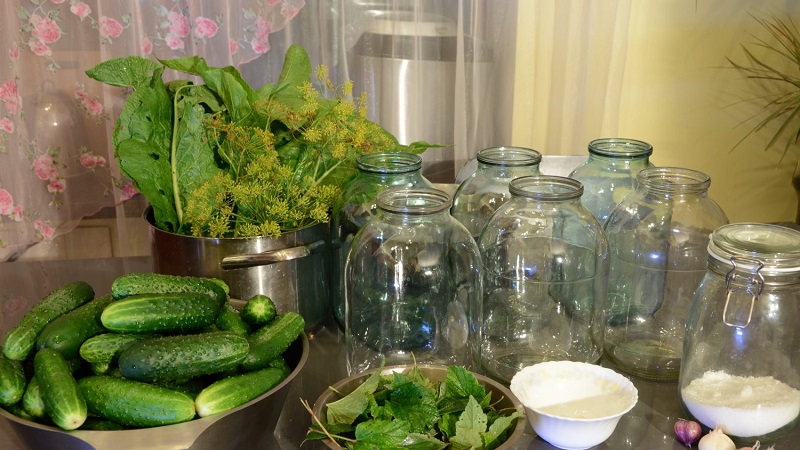 7 recettes les plus délicieuses pour les cornichons en conserve