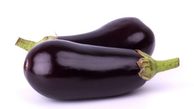 L'hybride d'aubergine Valentine F1 qui aime la chaleur des éleveurs néerlandais