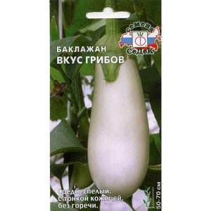 À quelles difficultés un résident d'été doit-il se préparer lors de la culture d'aubergine Goût de champignons?