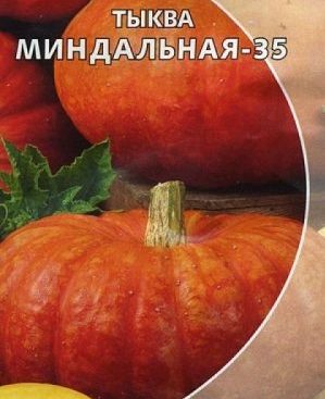 Pourquoi la courge d'amande est bonne et comment la cultiver